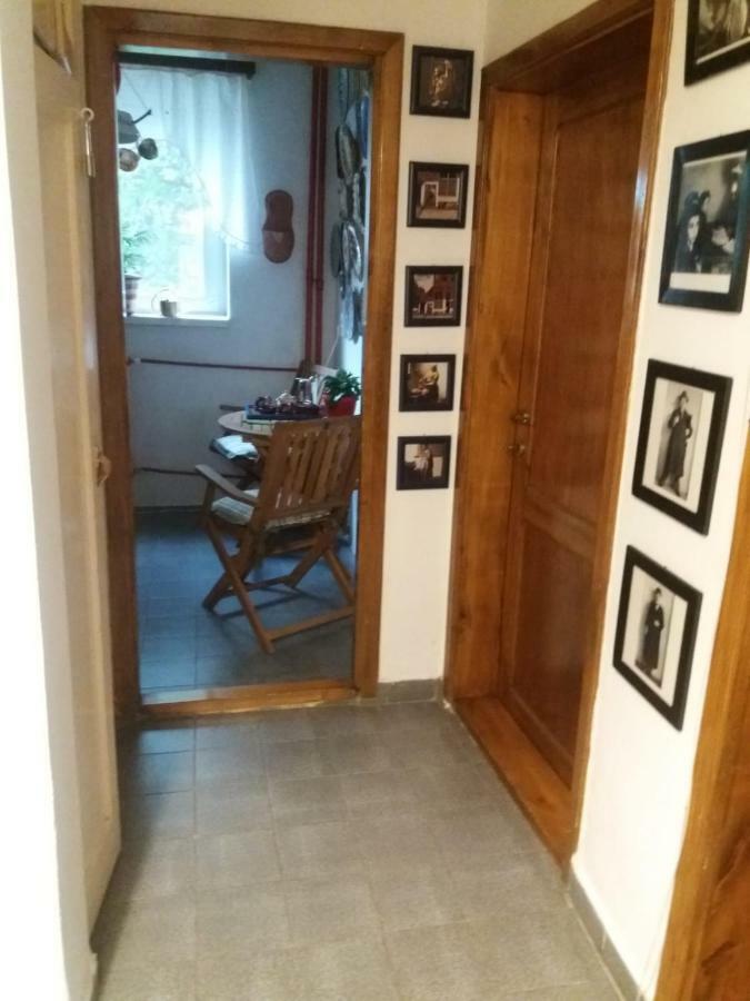 Apartament Anca Тимишоара Экстерьер фото